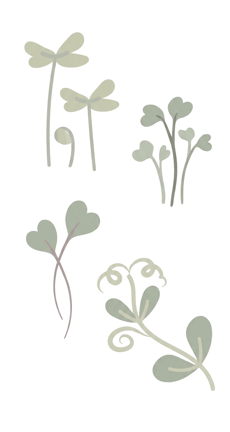 Microgreens illustration