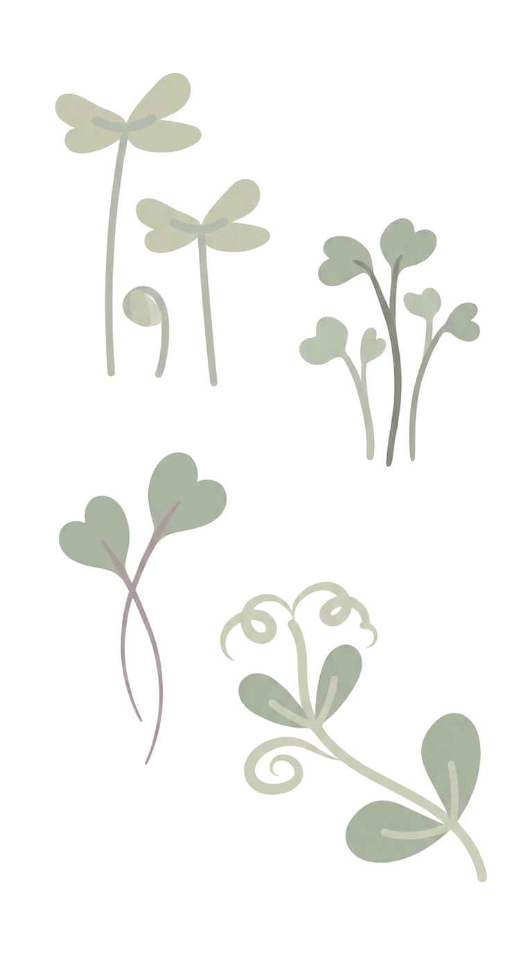 Microgreens illustration